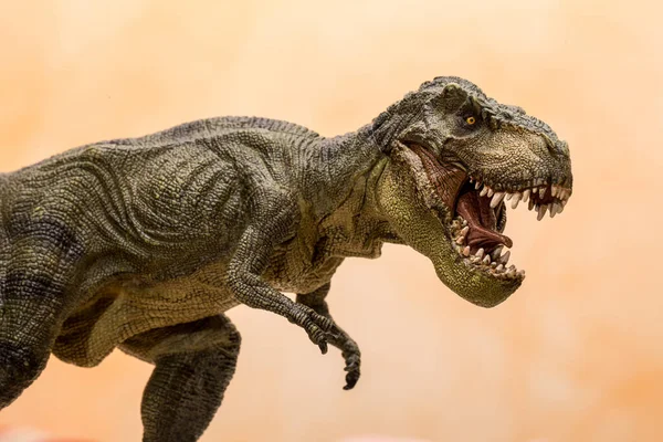 Játék Rex Dinoszaurusz Közelsége — Stock Fotó