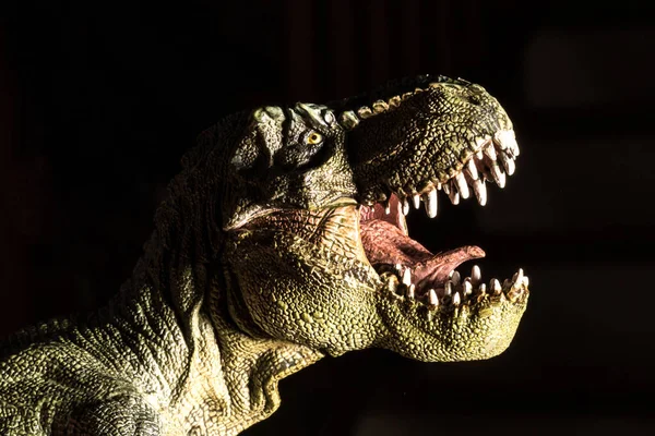 Tyrannosaurus Rex Ruggito Isolato Sfondo Nero — Foto Stock