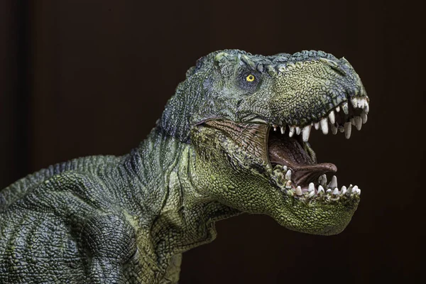 Realista Dinoszaurusz Modell Tyrannosaurus Fej Közelről — Stock Fotó