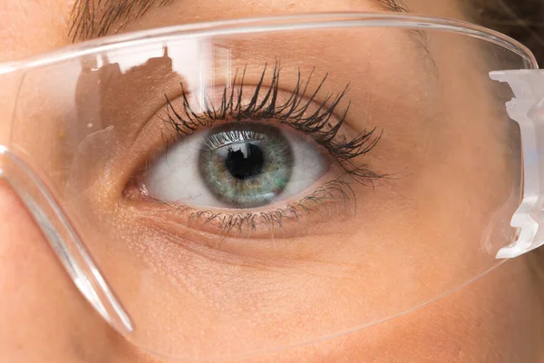 Una Vista Cerca Del Ojo Azul Verdoso Laboratorio Joven —  Fotos de Stock