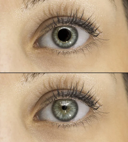Uma Vista Perto Sobre Olhos Verdes Uma Menina Bonita Colagem — Fotografia de Stock