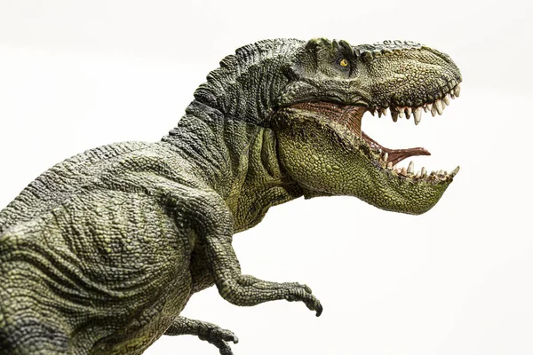 Tyrannosaurus Rex Dinoszaurusz Izolált Modell Fehér Alapon — Stock Fotó