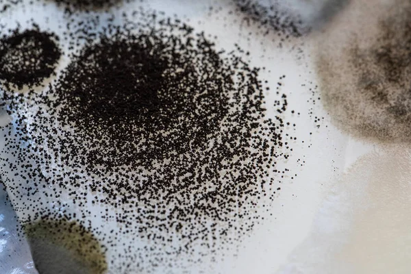 Extrémní Pohled Zblízka Černé Spory Petriho Misce Vědecké Laboratoři Kopírovat — Stock fotografie