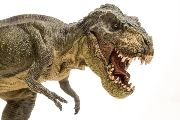 Detailní Pohled Modelovou Sochu Tyrannosaura Rexe Izolovanou Studiu Prehistorický Predátorský — Stock fotografie