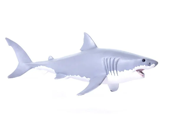 白鲨和深灰鲨张嘴闭合 — 图库照片