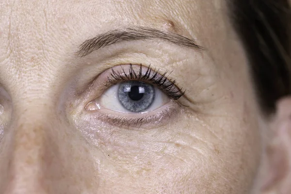 Closeup Macro Detailed View Blue Eye Beautiful Caucasian Woman Her — Stock Photo, Image