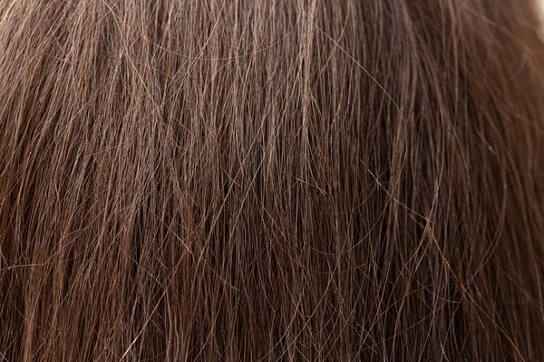 Une Vue Macro Sur Les Cheveux Bruns Longs Raides Une — Photo