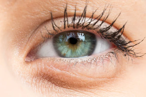 Uma Vista Close Extrema Olho Azul Esverdeado Uma Bela — Fotografia de Stock