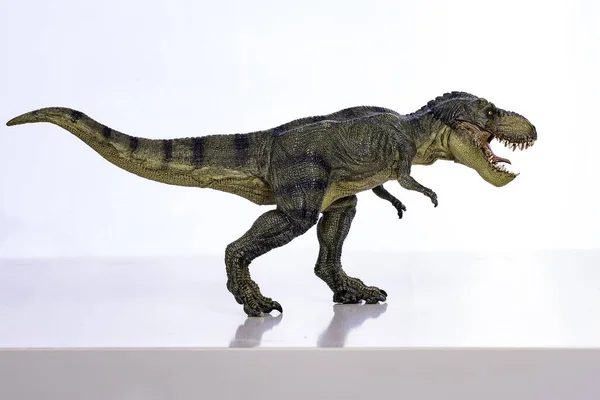 Ізольований Динозавр Білому Тлі — стокове фото