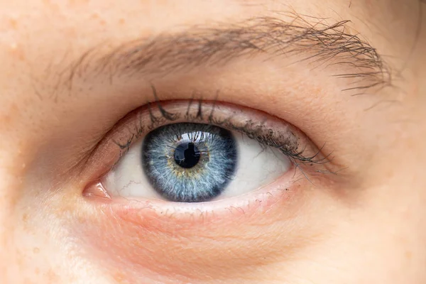 Närbild Vacker Vit Kvinnas Öga Uppgifter Ögonfransar Ögonbryn Och Blå — Stockfoto