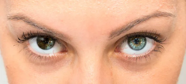 Heterochromia Iryd Kobiet Piękne Oczy — Zdjęcie stockowe