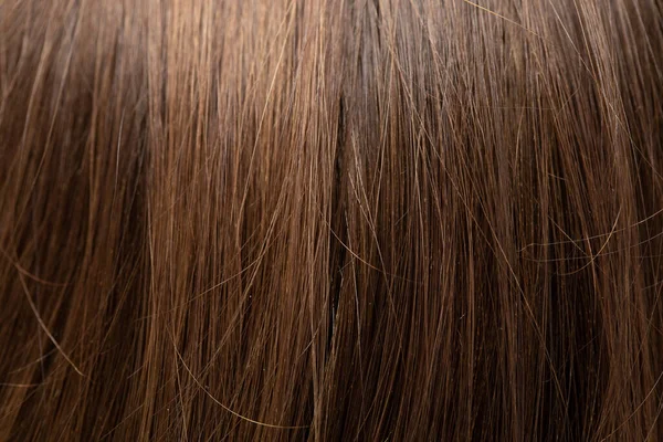 Bir Kadının Kahverengi Parlak Düz Saçlarının Ayrıntıları — Stok fotoğraf