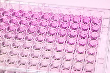 96 kuyu mikro plakası üzerinde bilimsel test