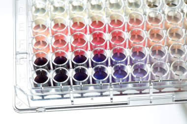 96 iyi mikro plaka üzerinde boyalar