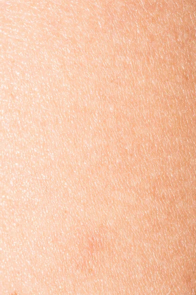 Μακρό Γυναικείο Δέρμα — Φωτογραφία Αρχείου