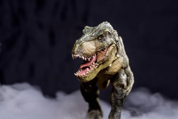 Tyrannosaurus Rex Köd Elszigetelt Fekete Alapon — Stock Fotó