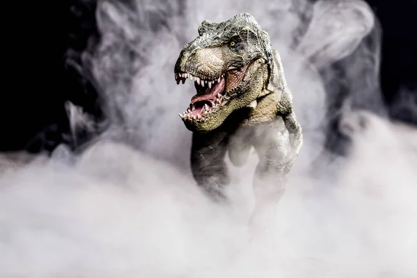 Tyrannosaurus Rex Köd Elszigetelt Fekete Alapon — Stock Fotó