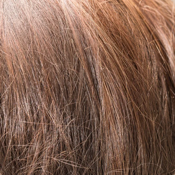 Macro Cheveux Bruns Lisses Ébouriffés Cassants Concept Soins Capillaires — Photo