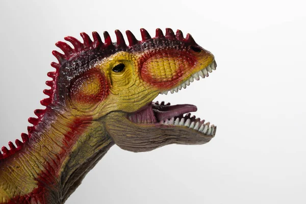 Tyrannosaurus Rex Fenyegetésének Műanyag Modellje Dinoszaurusz Feje Elszigetelt Fehér Háttér — Stock Fotó