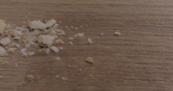 Στο Πάτωμα Μιας Κουζίνας Υπολείμματα Φαγητού Και Νεκρές Κατσαρίδες Κακή — Αρχείο Βίντεο