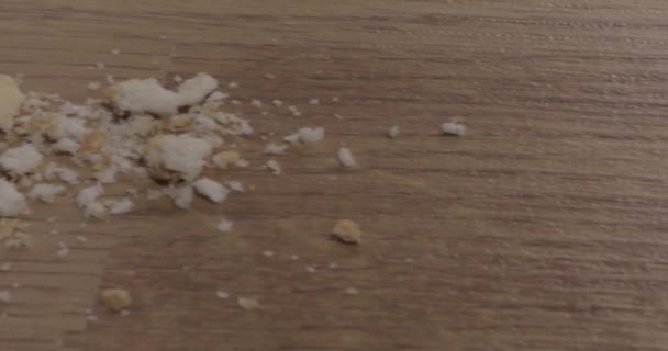 Plancher d'une cuisine avec des résidus alimentaires et des cafards morts. Mauvaise hygiène domestique 