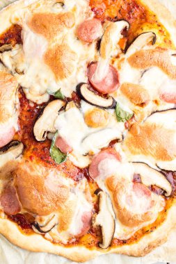 Mantar, peynir ve sos beyaz arka plan üzerinde pizza