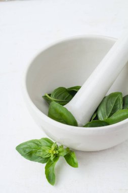 Beyaz ölümlü fesleğen