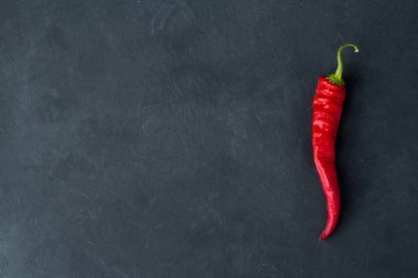 bir siyah arka plan ve metin için yer bir keskin kırmızı huş ağacı