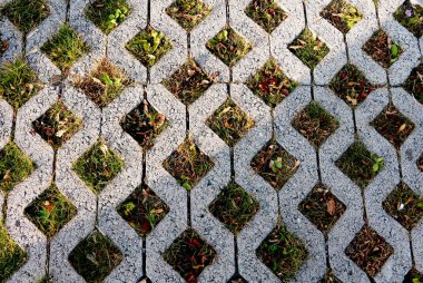 Yaşam çim ile beton kare hücreleri