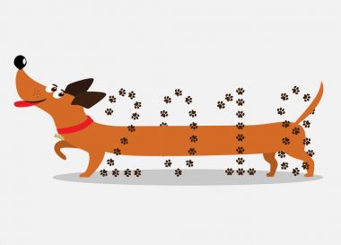 Cute cartoon dachshund dog going through number 2018 clipart