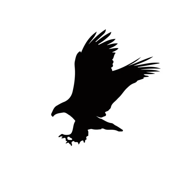 Black silhouette of eagle  isolated on white background. — Stock Vector