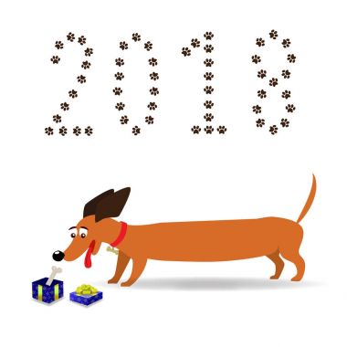 Sevimli çizgi uzun dachshund hediye kutusu bir kemik ile izlerken