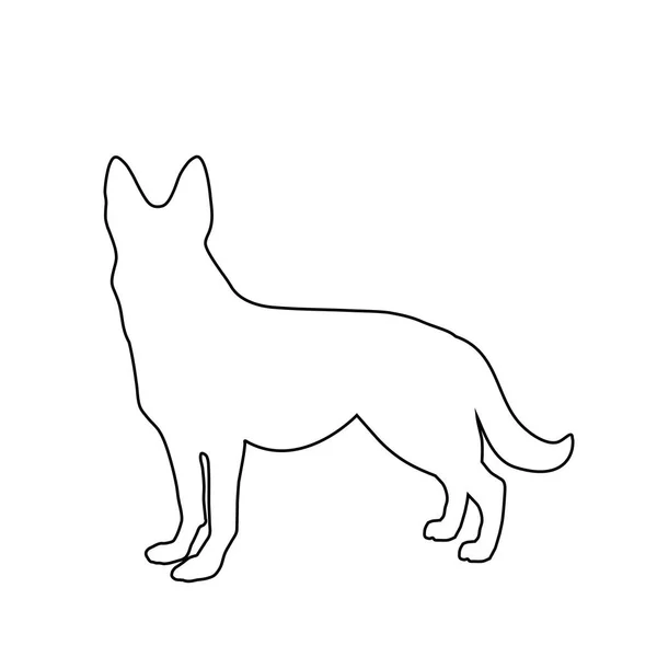 Silhouette contour noir de berger allemand chien isolé sur whi — Image vectorielle