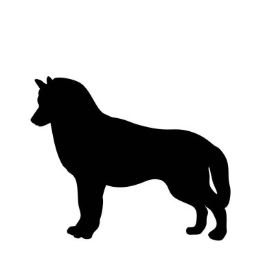 Siyah beyaz arkasında izole köpek ayakta backways silueti