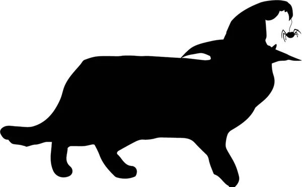 Schwarze Silhouette einer wandelnden Katze mit Hexenhut isoliert auf weißem B — Stockvektor