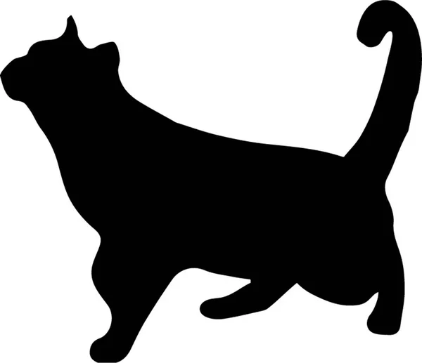 Schwarze Silhouette einer Katze, die isoliert auf weißem Hintergrund nach oben schaut — Stockvektor