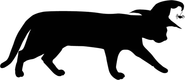 Silhouette de chat noir ambulant en chapeau de sorcière avec isolat d'araignée — Image vectorielle