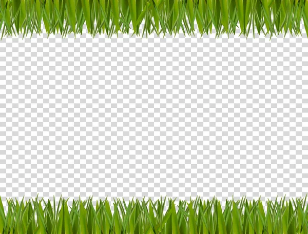 Frontera verde de hierba aislada sobre fondo transparente — Archivo Imágenes Vectoriales