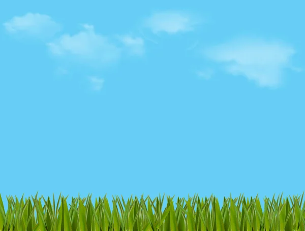 Illustration colorée printemps ou été avec belle prairie — Image vectorielle