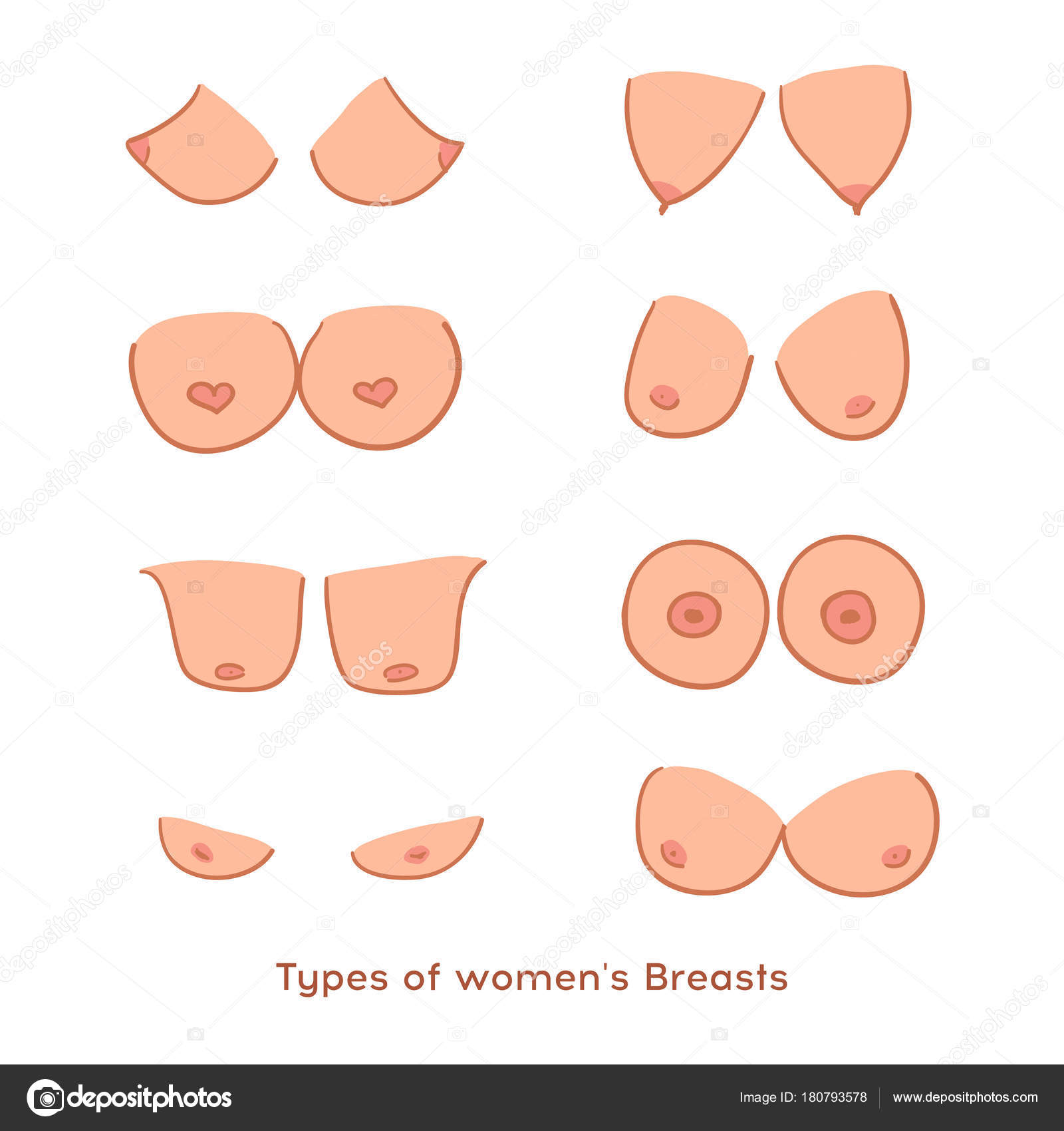 Types Women's Breasts Women's Breast Icon Breast Icon Vector Illustration  Stock Vector by ©Mila1717 180793578