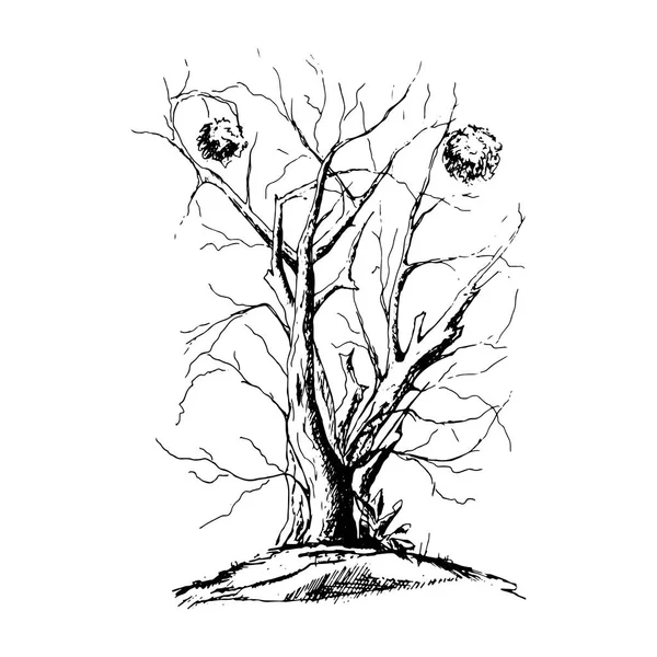 Siluet Pohon Hitam Diisolasi Pada Latar Belakang Putih Vektor - Stok Vektor