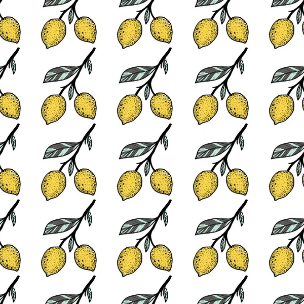 Seamless Pattern Lemon White Background Vector Illustration — Stock Vector