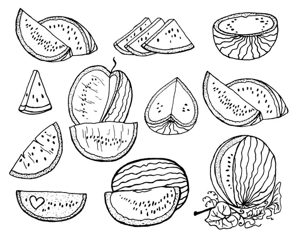 Hand Getrokken Vectorillustratie Watermeloen Segmenten Van Watermeloen — Stockvector