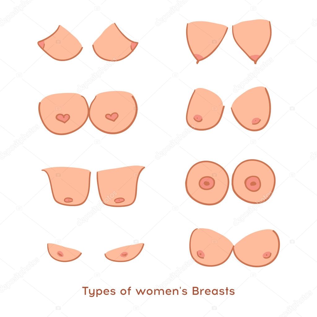 Types of women's Breasts. Women's Breast Icon, Breast Icon Vector illustration