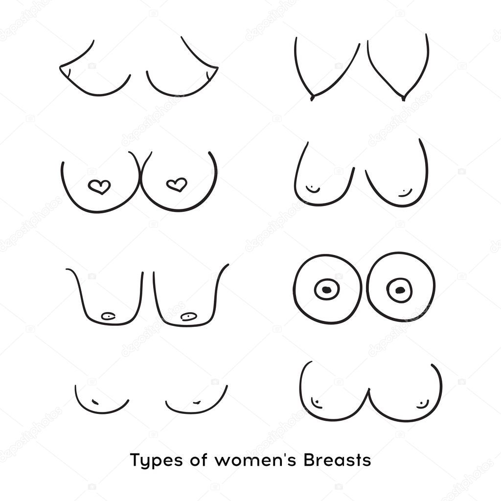 Types of women's Breasts. Women's Breast Icon, Breast Icon Vector illustration