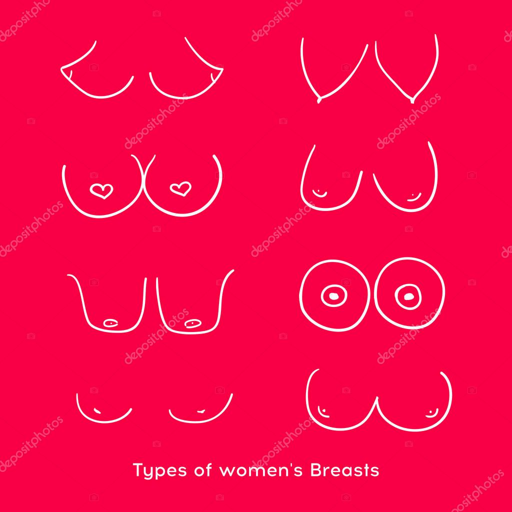 Types of women's Breasts. Women's Breast Icon, Breast Icon Vector illustration