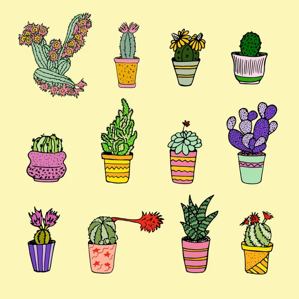 vektör el bir daire çizilmiş kaktüsler