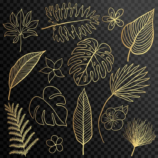 手描きの熱帯の葉シルエット ベクトルを設定します。葉を設定します。外来種。ビンテージ ベクトルの植物図. — ストックベクタ