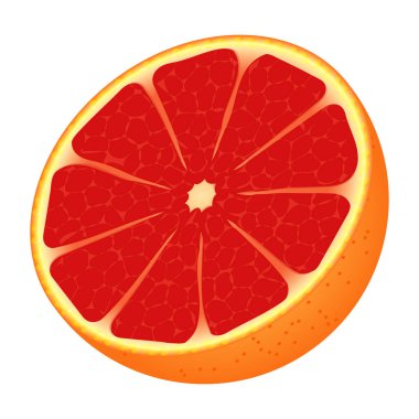 Beyaz arkaplanda vektör greyfurt izole edildi. Vektör illüstrasyonu.