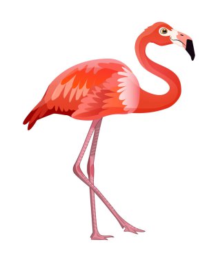 Beyaz arka planda izole edilmiş şirin bir flamingo çizgi filmi. Vektör illüstrasyonu.